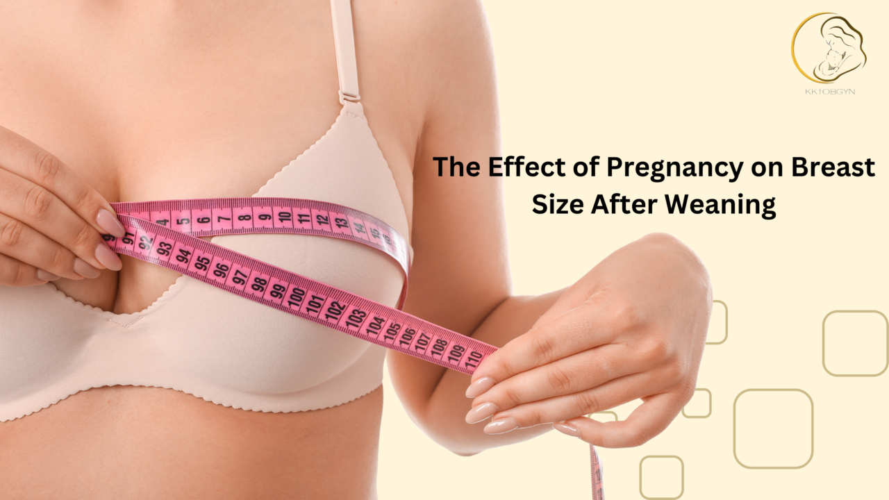 The Effect of Pregnancy on Breast Size After Weaning