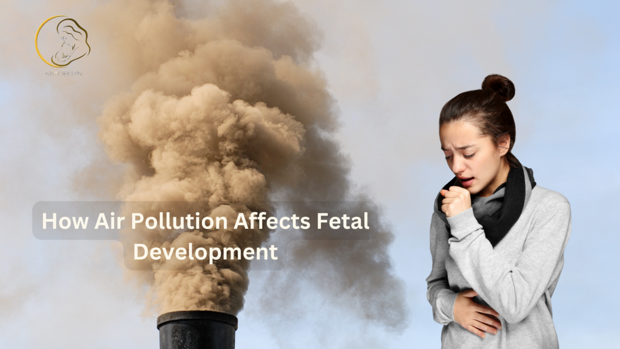 How Air Pollution Affects Fetal Development
