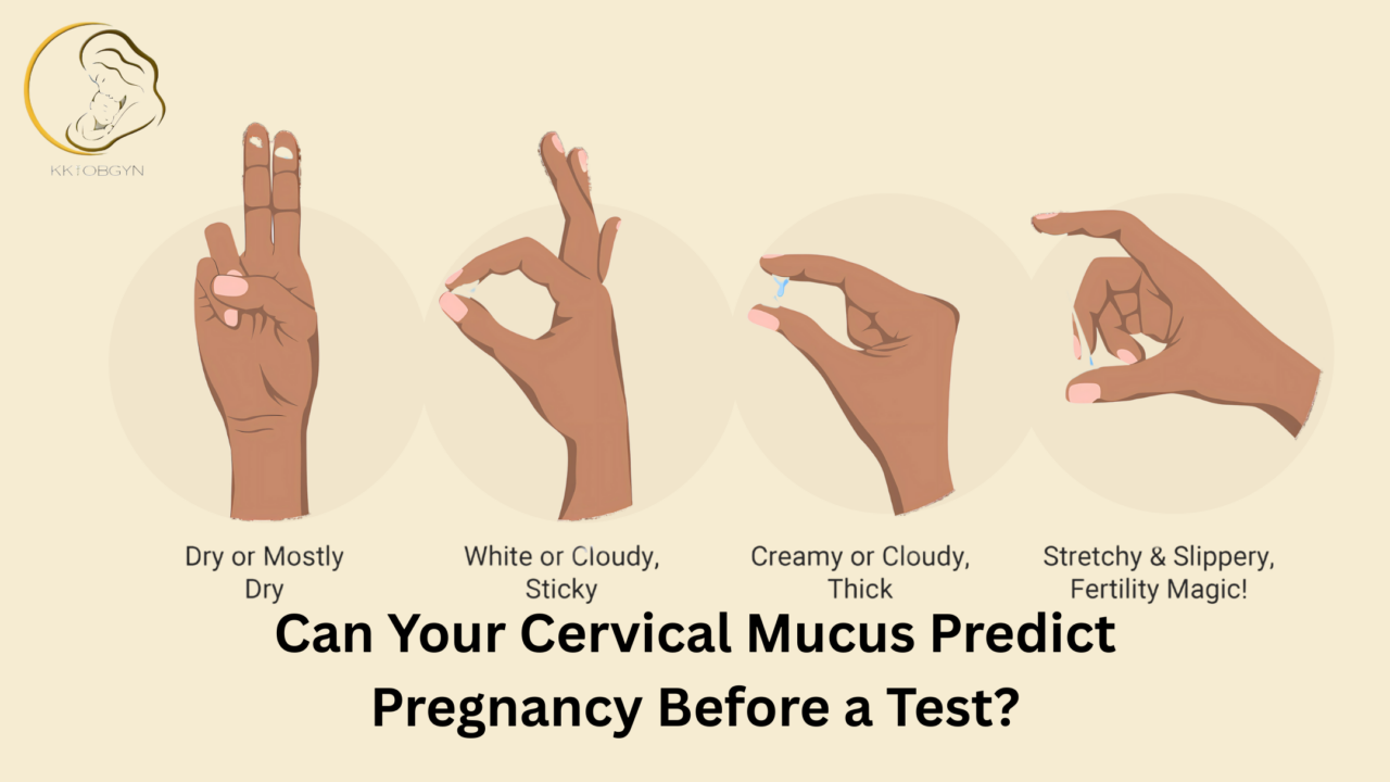 Can Your Cervical Mucus Predict Pregnancy Before a Test?
