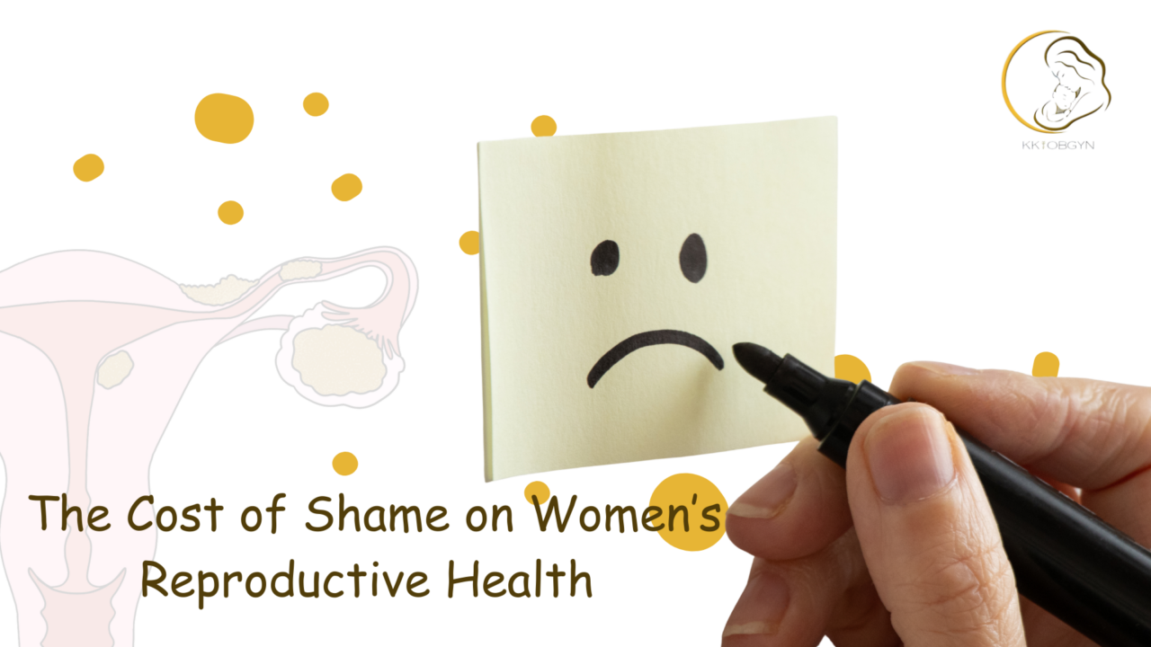 The Cost of Shame on Women’s Reproductive Health