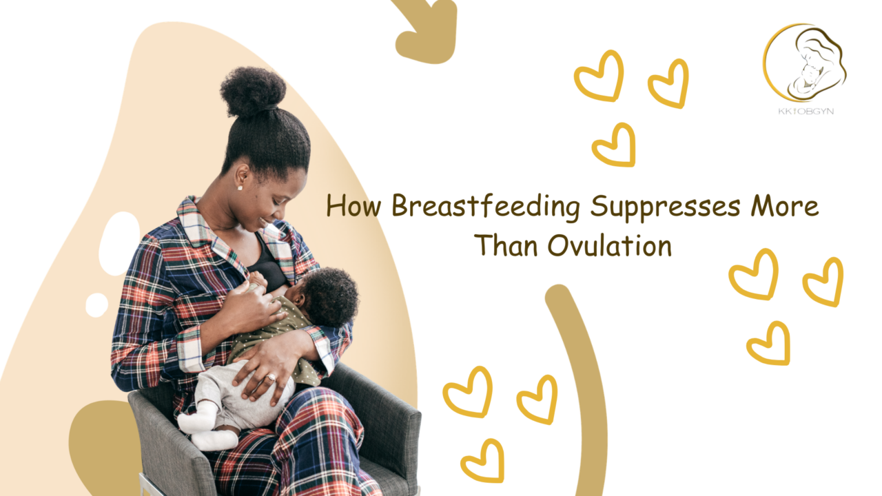How Breastfeeding Suppresses More Than Ovulation